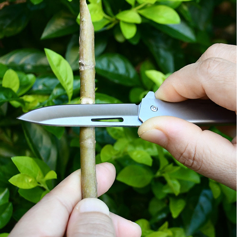 EDC Pisau Saku Kecil untuk Pri - Edc Gear Every Day Carry ulasan dan harga